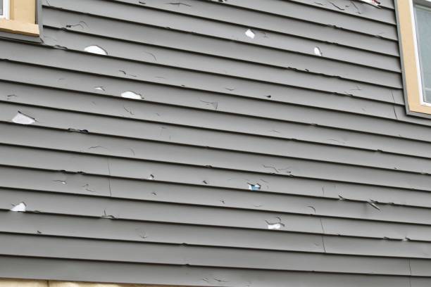 Best Shed Removal  in Katonah, NY